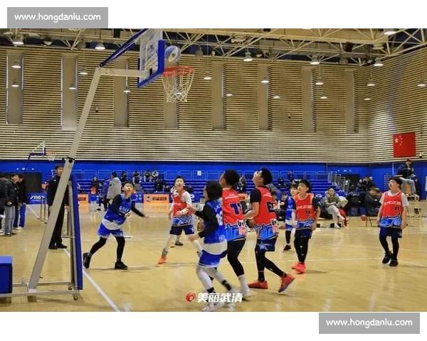 篮球比赛免费版带你畅享实时赛事直播精彩对决与球迷互动全新体验