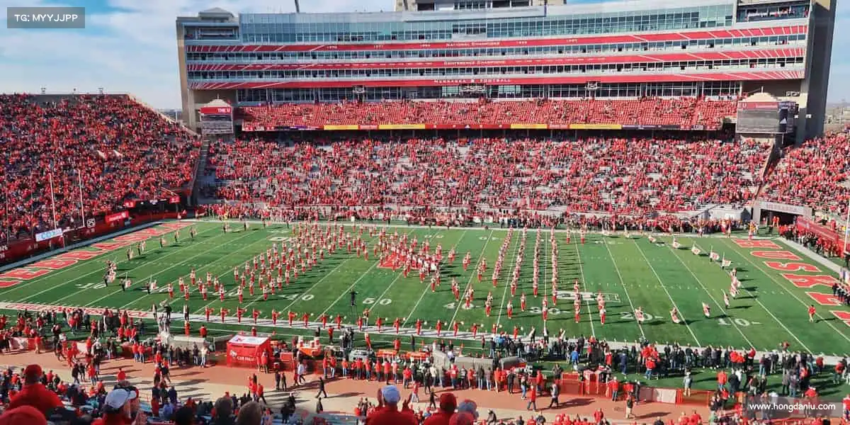 为什么选择我们